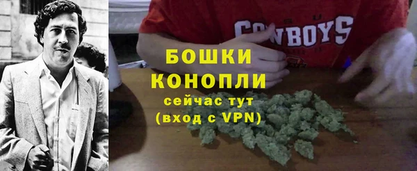 ПСИЛОЦИБИНОВЫЕ ГРИБЫ Балабаново