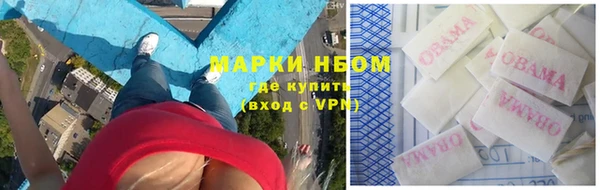 ПСИЛОЦИБИНОВЫЕ ГРИБЫ Балабаново
