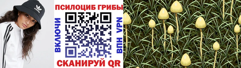 нарко площадка телеграм  KRAKEN ссылки  Энем  Галлюциногенные грибы прущие грибы 